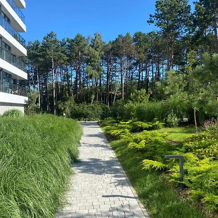 Shellter West Corner 117k *