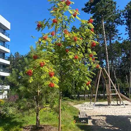 Shellter West Corner 117k Appartamento