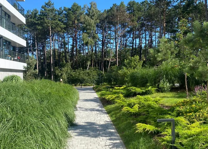 Shellter West Corner 117k *