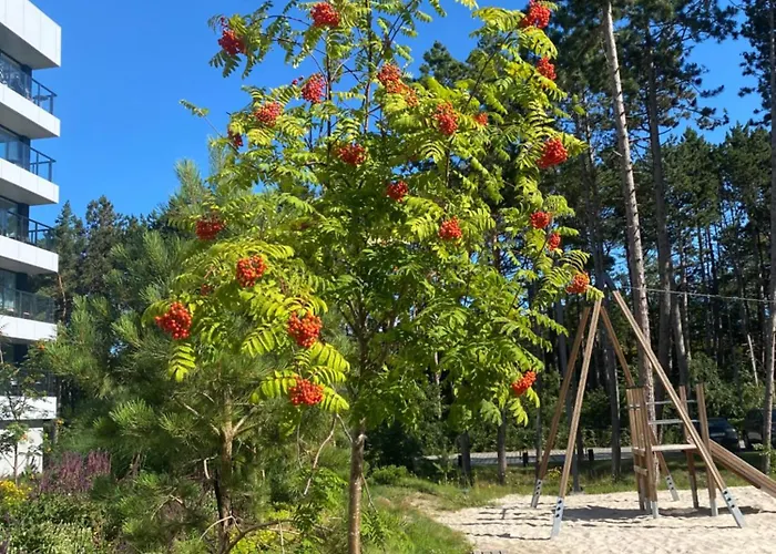 Shellter West Corner 117k Apartment