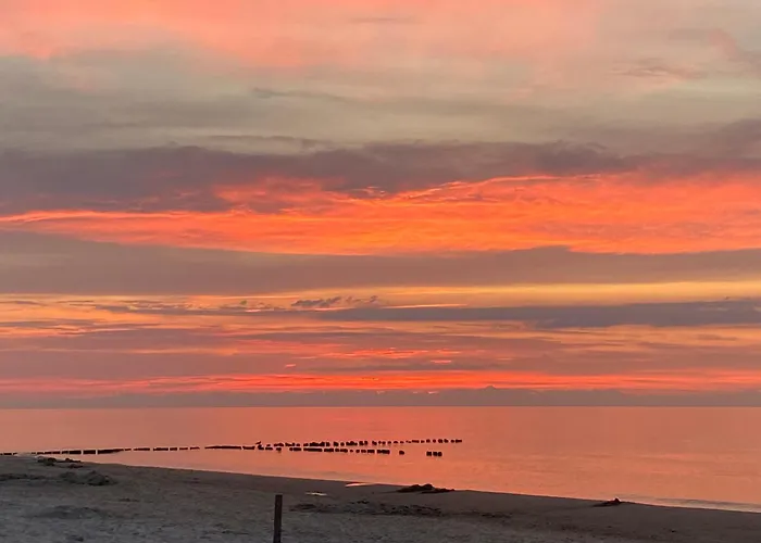 Shellter West Corner 117k Rogowo (Gryfice)